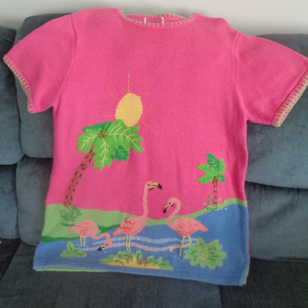 Quacker Factory Pink Sweater & Green Capris Size L